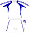 Adidas generic whiteblue kit 2008.svg
